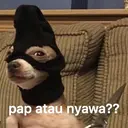 스티커