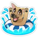 sticker