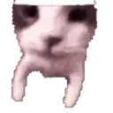 اسٹیکر