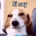 ملصق