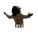Límmiði
