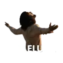 Límmiði